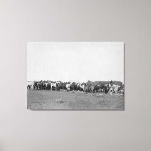 Paarden opgehangen door Cowboys Foto Canvas Afdruk (Voorkant)