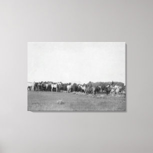 Paarden opgehangen door Cowboys Foto Canvas Afdruk