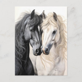 Paarden Paar Zwart-wit Paard Postcrossing Briefkaart