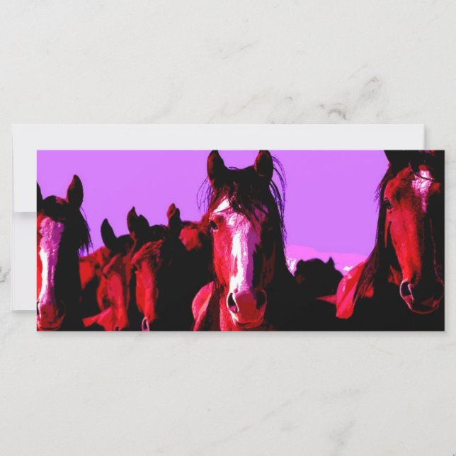 Paarden - paarden (Voorkant)