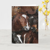 Paarden, Paarden die, Paarden Cad begroeten Kaart (Gele Bloem)