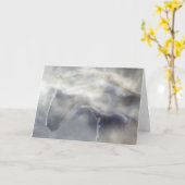 Paarden/paardensympathiekaart Kaart (Gele Bloem)