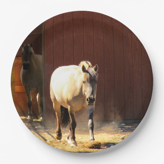 Paarden Papieren Borden Papieren Bordje (Voorkant)