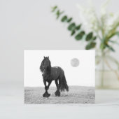 Paarden perfect briefkaart (Staand voorkant)