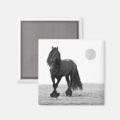 Paarden perfect magneet (Voorkant / Achterkant)