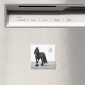Paarden perfect magneet (Insitu (Vaatwasser))