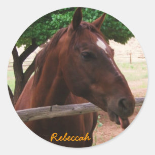 Paarden personaliseren ronde sticker