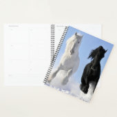 Paarden Planner (Display)