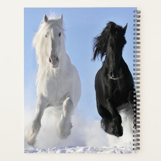 Paarden Planner (Achterkant)