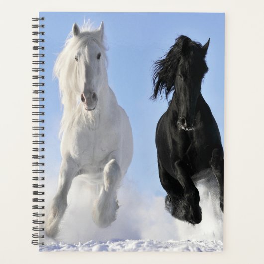 Paarden Planner (Voorkant)