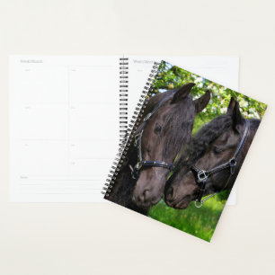 Paarden Planner