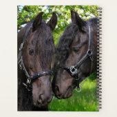 Paarden Planner (Achterkant)