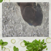 paarden pony shetty animal minihorse theedoek (Gevouwen)