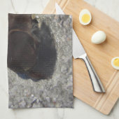 paarden pony shetty animal minihorse theedoek (Quarter Fold)