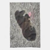 paarden pony shetty animal minihorse theedoek (Verticaal)