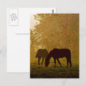 Paarden Pop Art Briefkaart (Voorkant / Achterkant)