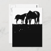 Paarden Pop Art Briefkaart (Voorkant / Achterkant)