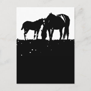 Paarden Pop Art Briefkaart