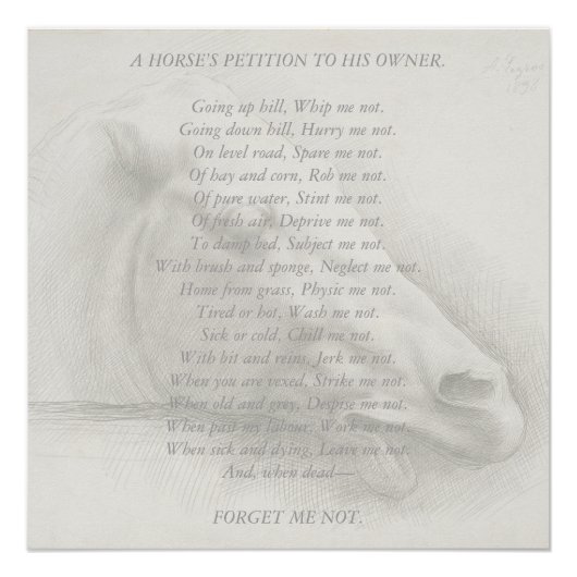 Paarden Portrait Poem Petition to Owner Poster (Voorkant)