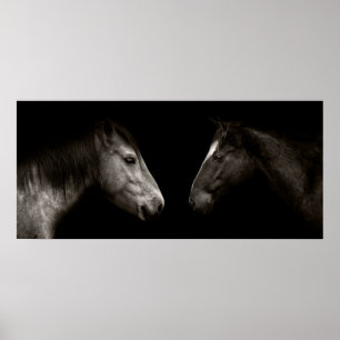 Paarden portret poster