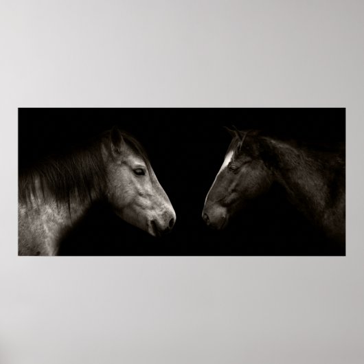 Paarden portret poster (Voorkant)