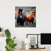 Paarden Portret: selectieve kleurenfotografie Poster (Thuiskantoor)