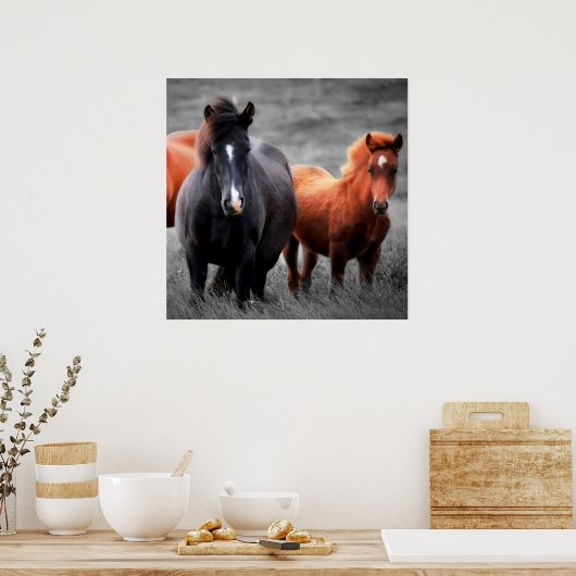 Paarden Portret: selectieve kleurenfotografie Poster (Keuken)