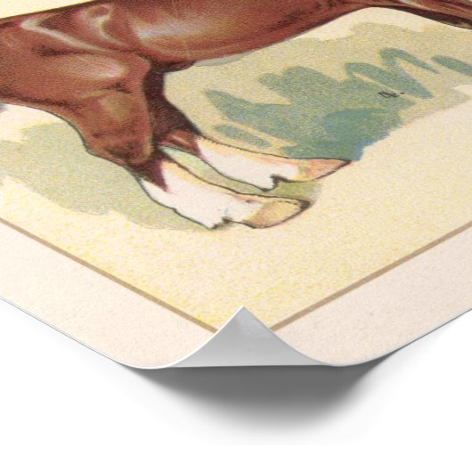  paarden poster (Hoek)