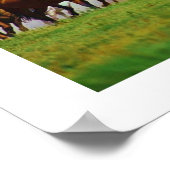 paarden poster (Hoek)