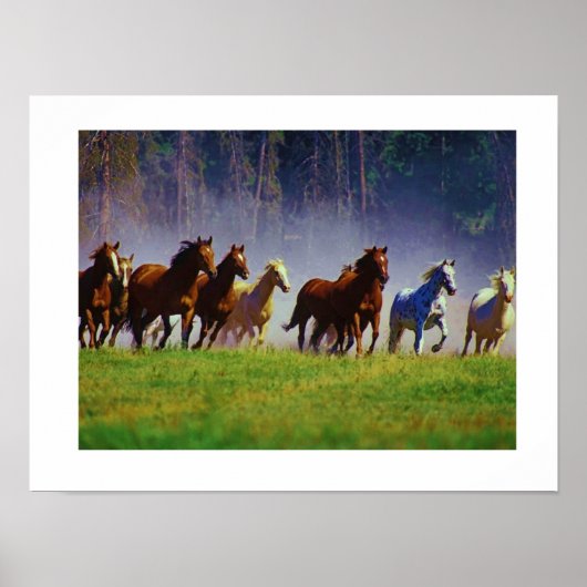 paarden poster (Voorkant)