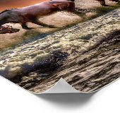Paarden Poster (Hoek)