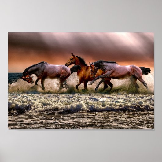 Paarden Poster (Voorkant)