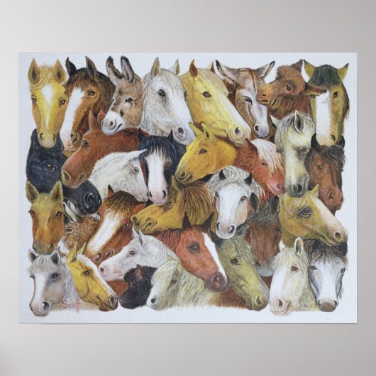 Paarden Poster (Voorkant)