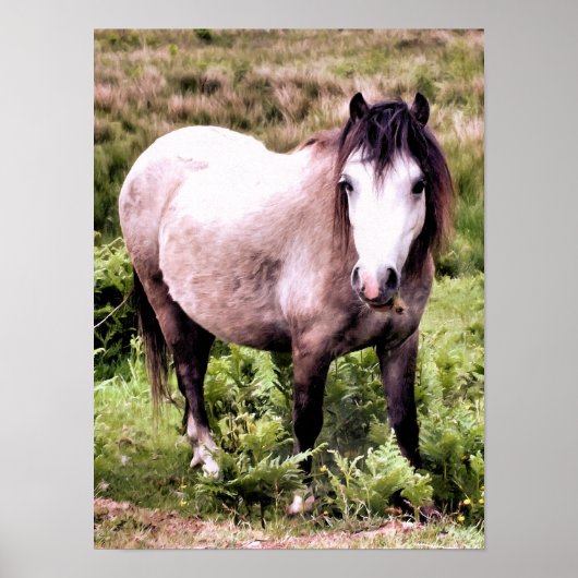 PAARDEN POSTER (Voorkant)