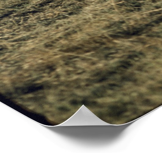  paarden poster (Hoek)