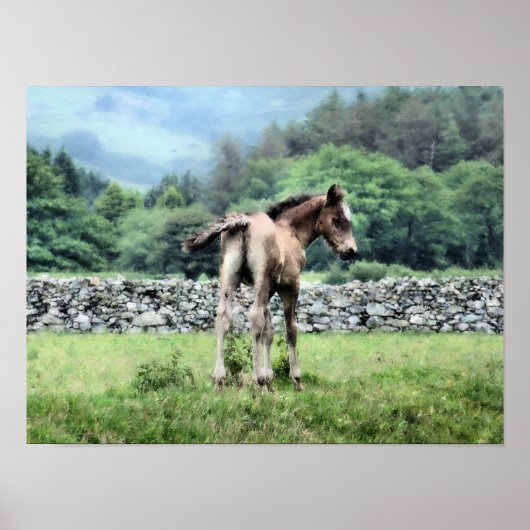 PAARDEN POSTER (Voorkant)