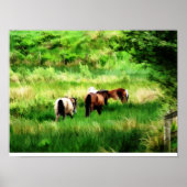 PAARDEN POSTER (Voorkant)