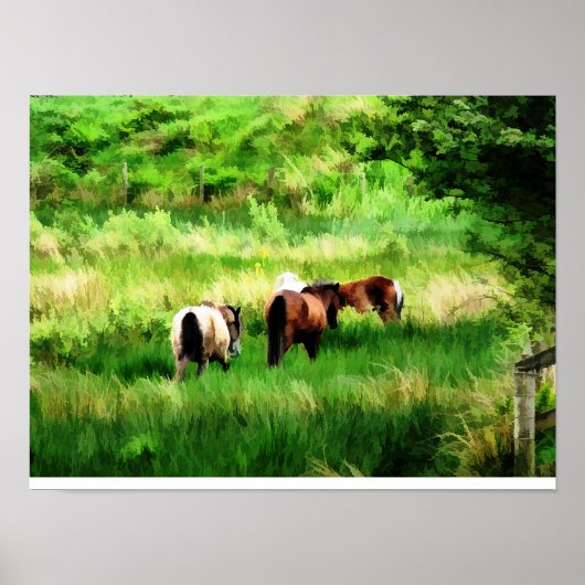 PAARDEN POSTER (Voorkant)