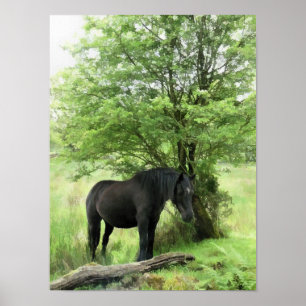 PAARDEN POSTER