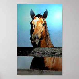 Paarden Poster afdrukken
