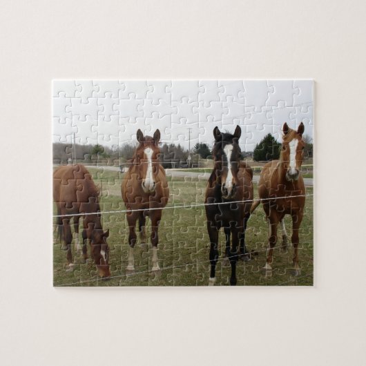 Paarden Puzzel (Horizontaal)