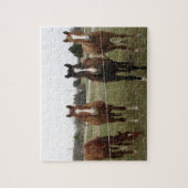 Paarden Puzzel (Verticaal)