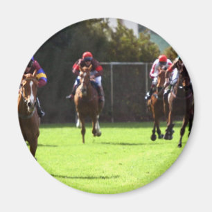 Paarden Racing Field Magnet
