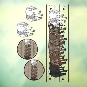 Paarden Ramenstickers Raamsticker (Vel 3)