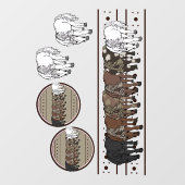 Paarden Ramenstickers Raamsticker (Vel)