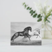Paarden rennen briefkaart (Staand voorkant)