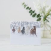 Paarden rennen door de sneeuw briefkaart (Staand voorkant)