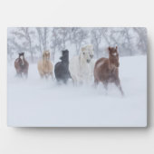 Paarden rennen door de sneeuw fotoplaat (voorkant)