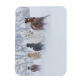 Paarden rennen door de sneeuw magneet (Verticaal)