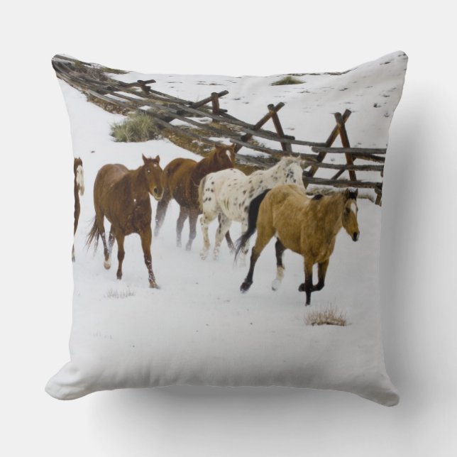 Paarden rennen in de sneeuw kussen (Voorkant)